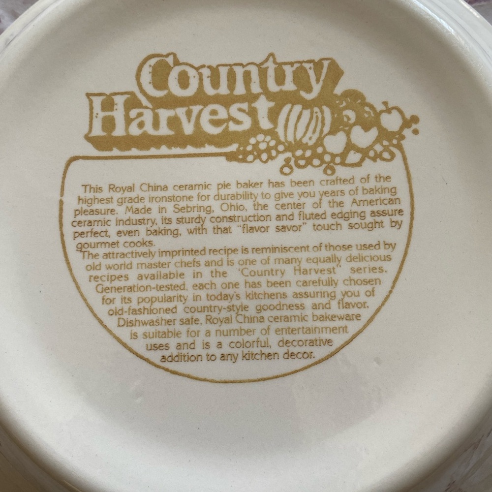 Vintage Country Harvest Pie Plates Set Cherry & Cheesecake Recipe Dishes 11” - Picture 8 of 15